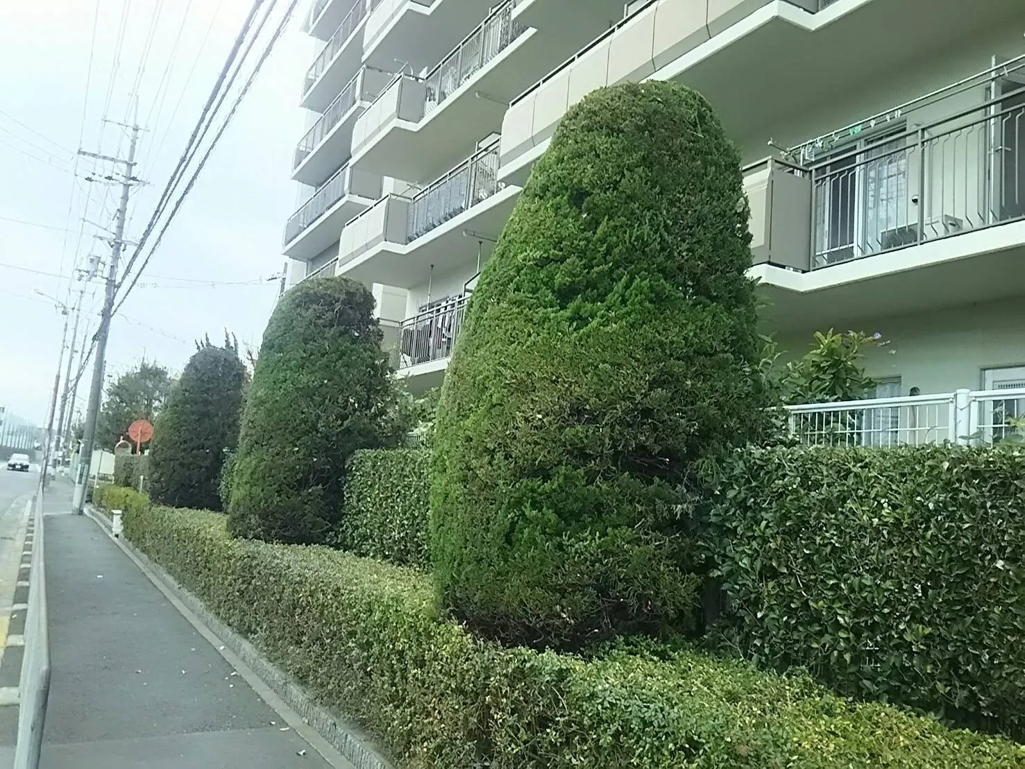 大阪府で植栽管理業者をお探しの方へ